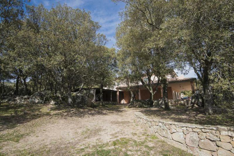 Fumu Ludurru Farm Stay Padru Luaran gambar
