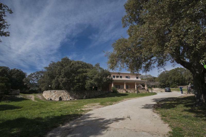 Fumu Ludurru Farm Stay Padru Luaran gambar